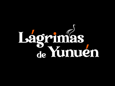 Cliente 03